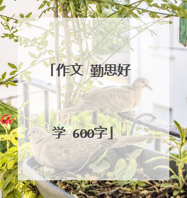 作文 勤思好学 600字