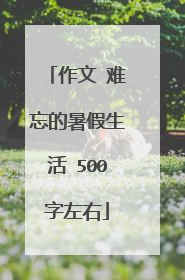作文 难忘的暑假生活 500字左右