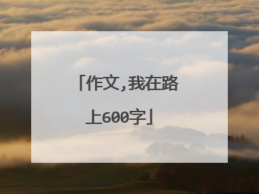 作文,我在路上600字