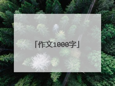 作文1000字