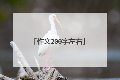 作文200字左右