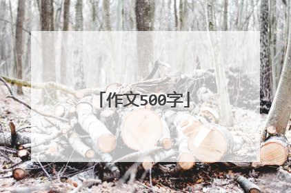 作文500字