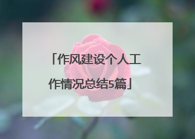作风建设个人工作情况总结5篇