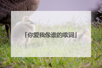 你爱我像谁的歌词