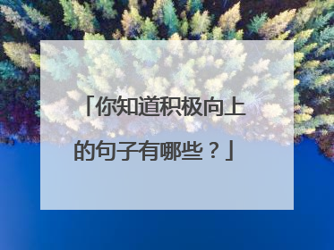 你知道积极向上的句子有哪些?