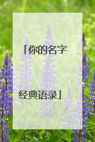 你的名字经典语录