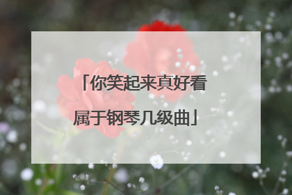 你笑起来真好看属于钢琴几级曲