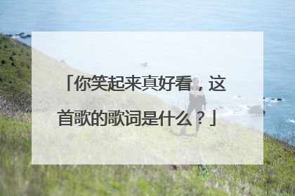 你笑起来真好看，这首歌的歌词是什么？