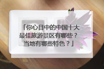 你心目中的中国十大最佳旅游景区有哪些?当地有哪些特色?