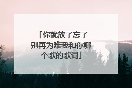 你就放了忘了 别再为难我和你哪个歌的歌词