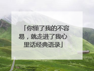 你懂了我的不容易，就走进了我心里话经典语录
