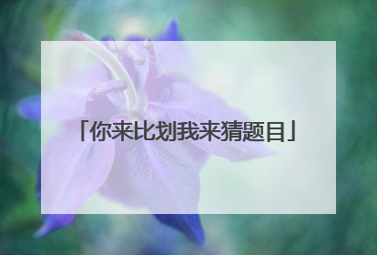 你来比划我来猜题目