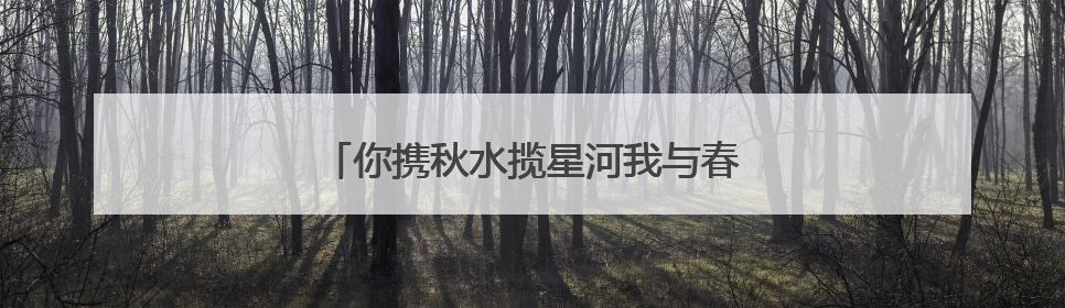 你携秋水揽星河我与春风皆过客全诗是什么？