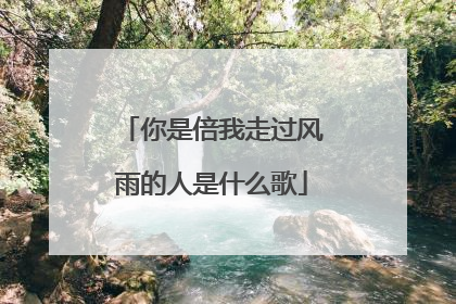 你是倍我走过风雨的人是什么歌