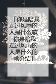 你是陪我走过风雨的人是什么歌 你是陪我走过风雨的人是什么的歌介绍