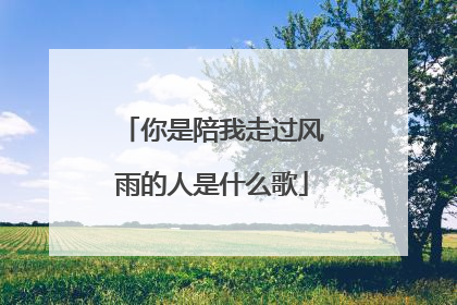 你是陪我走过风雨的人是什么歌