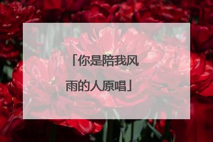 你是陪我风雨的人原唱