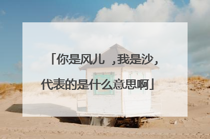 你是风儿 ,我是沙,代表的是什么意思啊