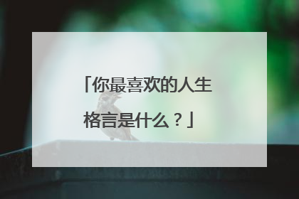 你最喜欢的人生格言是什么？