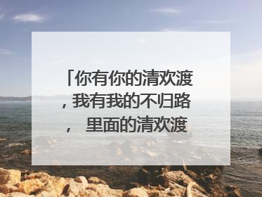 你有你的清欢渡,我有我的不归路, 里面的清欢渡是什么意思?