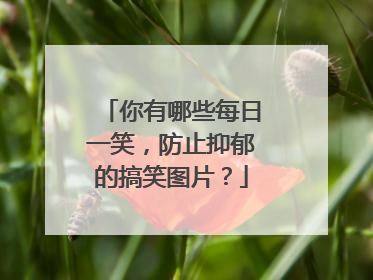 你有哪些每日一笑，防止抑郁的搞笑图片？