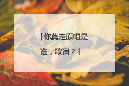 你莫走原唱是谁，歌词？