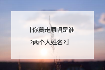 你莫走原唱是谁?两个人姓名?