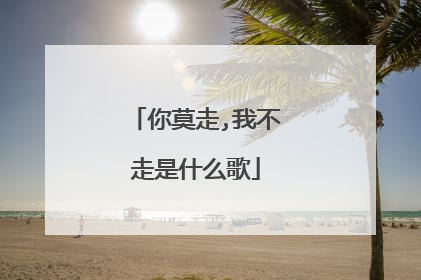 你莫走,我不走是什么歌