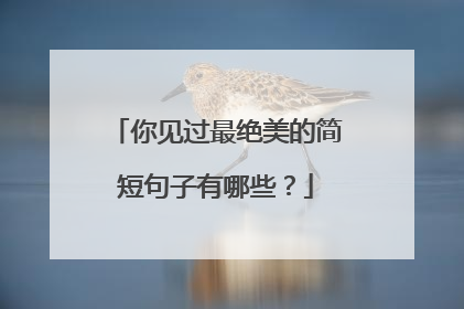 你见过最绝美的简短句子有哪些?