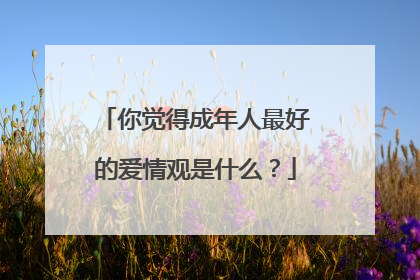 你觉得成年人最好的爱情观是什么？