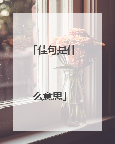 佳句是什么意思