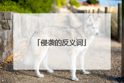 侵袭的反义词