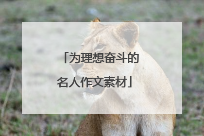 为理想奋斗的名人作文素材