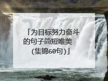 为目标努力奋斗的句子简短唯美 (集锦60句)