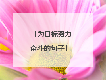 为目标努力奋斗的句子