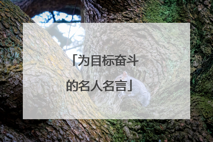 为目标奋斗的名人名言