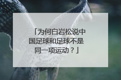 为何白岩松说中国足球和足球不是同一项运动？