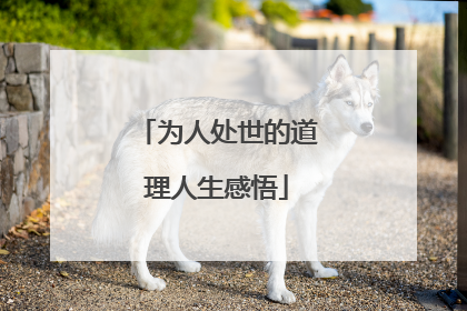 为人处世的道理人生感悟