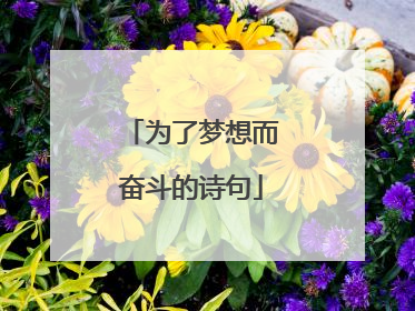 为了梦想而奋斗的诗句