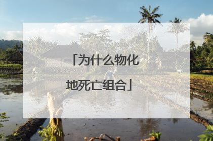 为什么物化地死亡组合