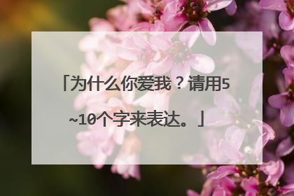 为什么你爱我？请用5~10个字来表达。