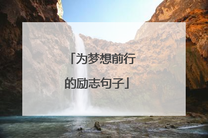 为梦想前行的励志句子