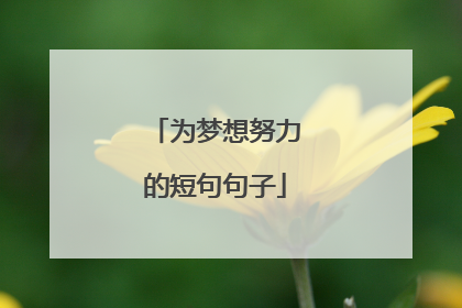 为梦想努力的短句句子