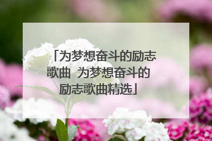 为梦想奋斗的励志歌曲 为梦想奋斗的励志歌曲精选