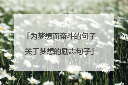 为梦想而奋斗的句子 关于梦想的励志句子