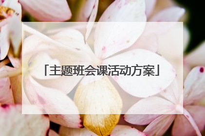 主题班会课活动方案