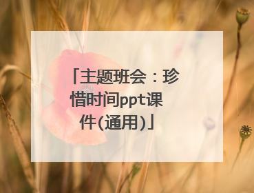 主题班会:珍惜时间ppt课件(通用)