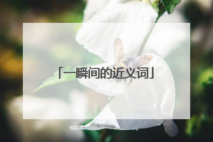 一瞬间的近义词