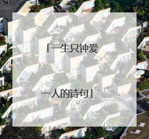 一生只钟爱一人的诗句