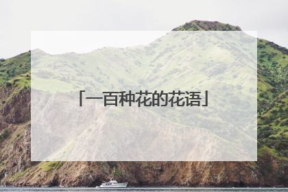 一百种花的花语